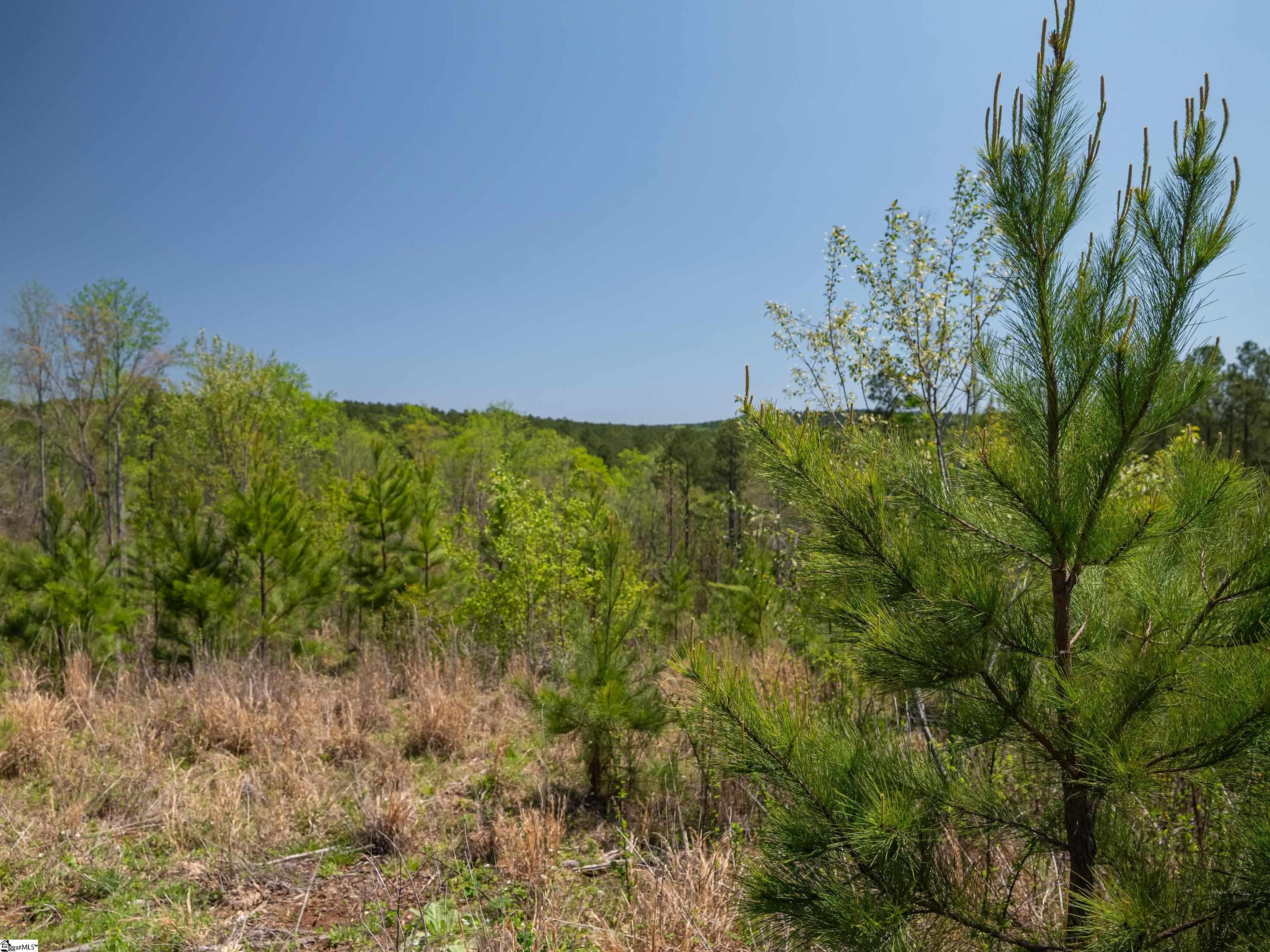 0 Mill Pine Road Central, SC 29630 - Photo 28 of 35