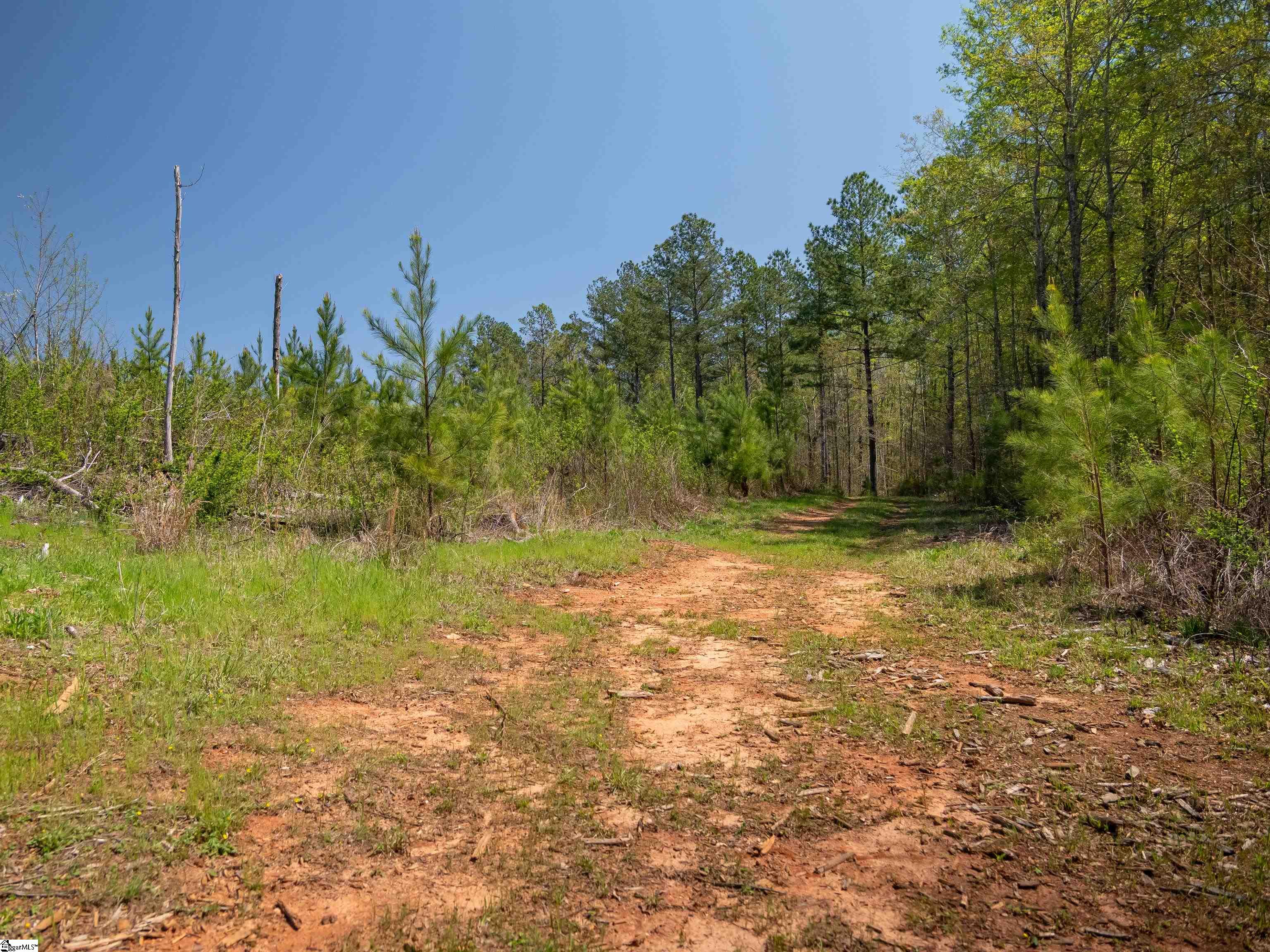 0 Mill Pine Road Central, SC 29630 - Photo 29 of 35