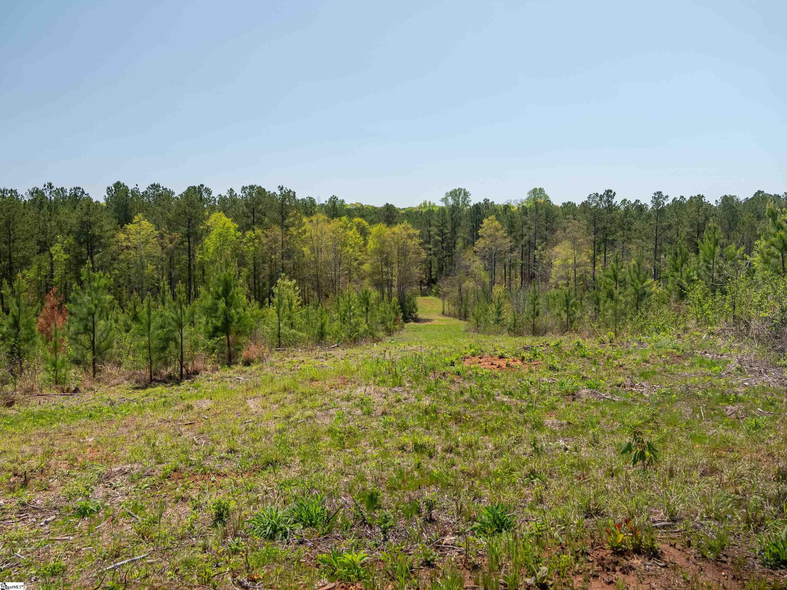 0 Mill Pine Road Central, SC 29630 - Photo 30 of 35