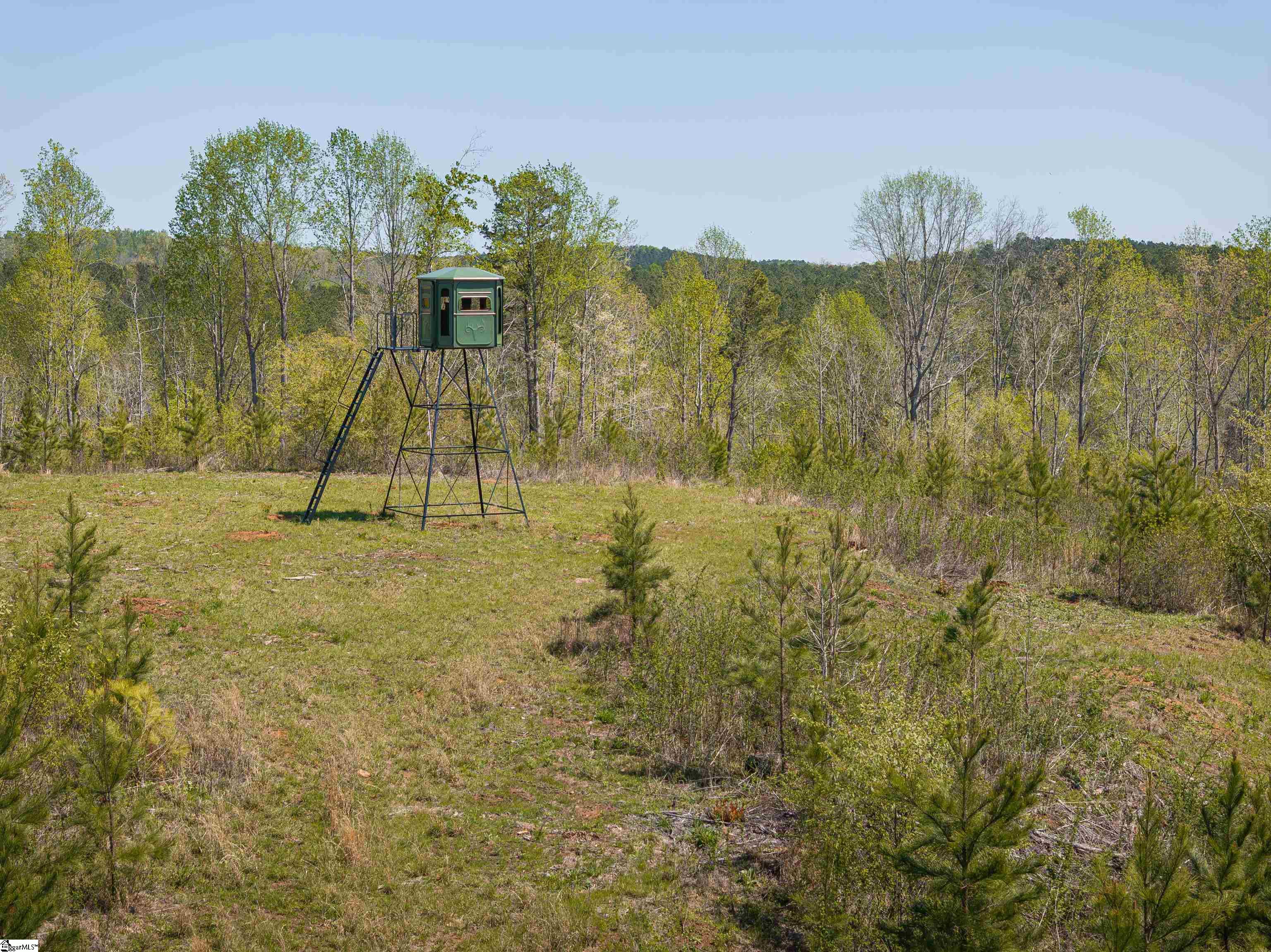0 Mill Pine Road Central, SC 29630 - Photo 31 of 35