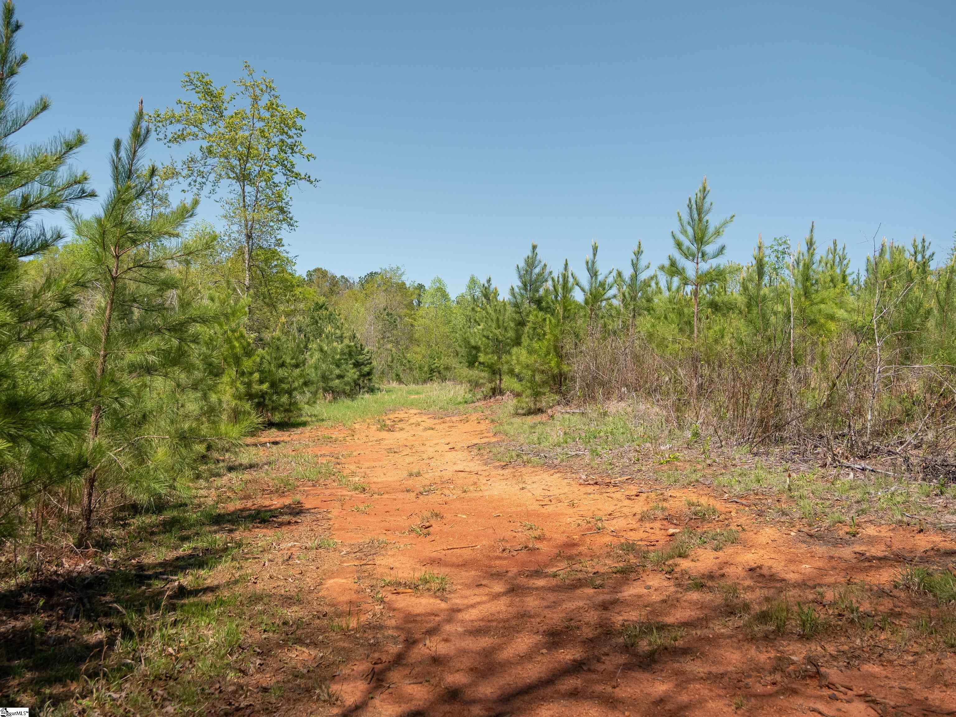 0 Mill Pine Road Central, SC 29630 - Photo 32 of 35