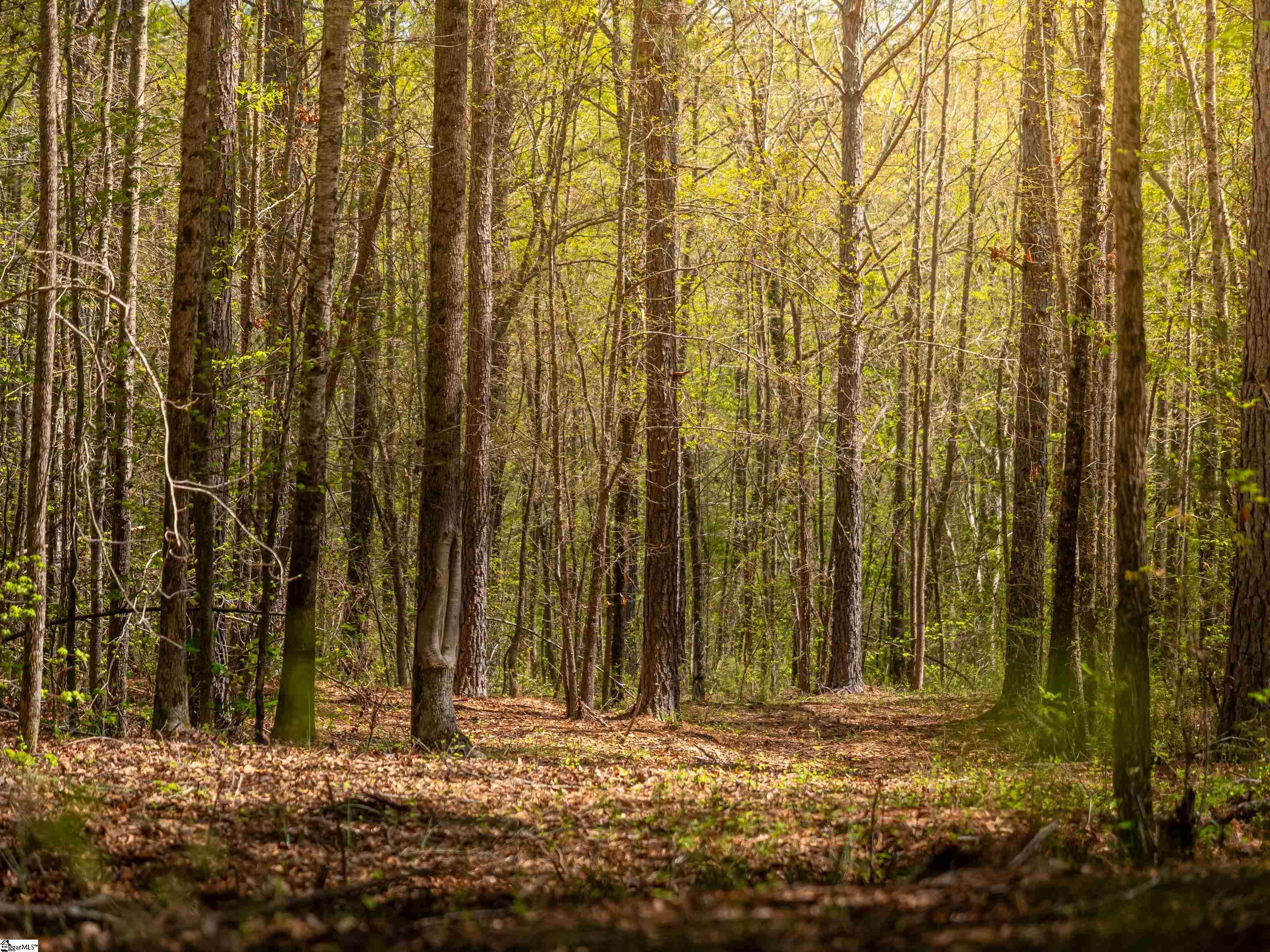 0 Mill Pine Road Central, SC 29630 - Photo 33 of 35