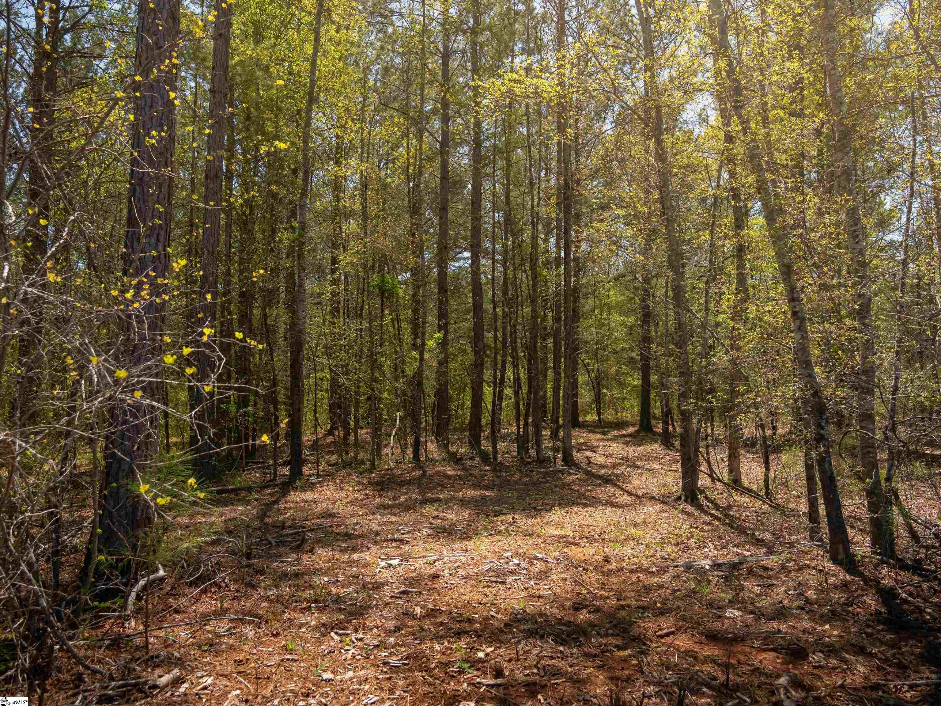 0 Mill Pine Road Central, SC 29630 - Photo 35 of 35