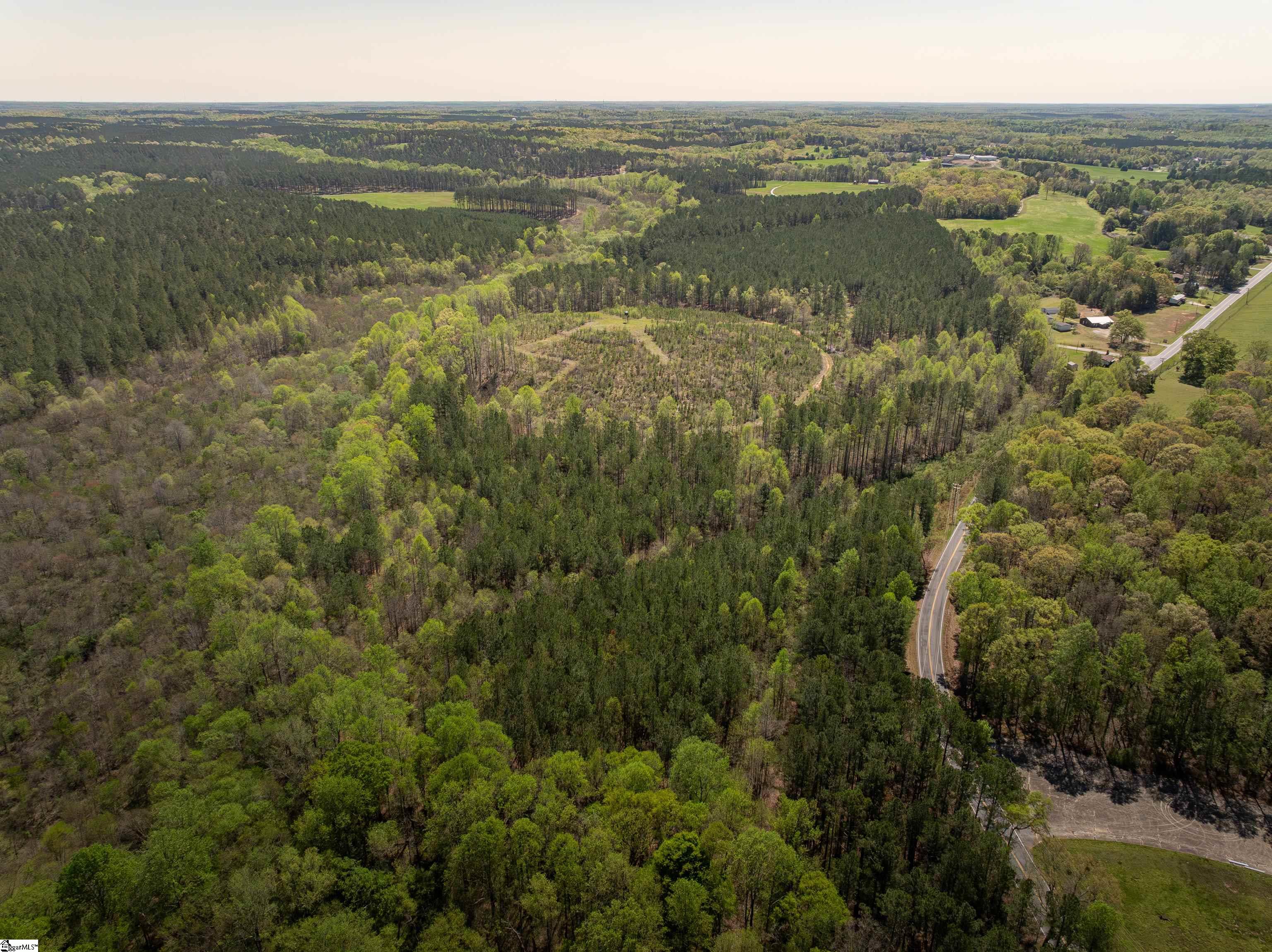 0 Mill Pine Road Central, SC 29630 - Photo 5 of 35