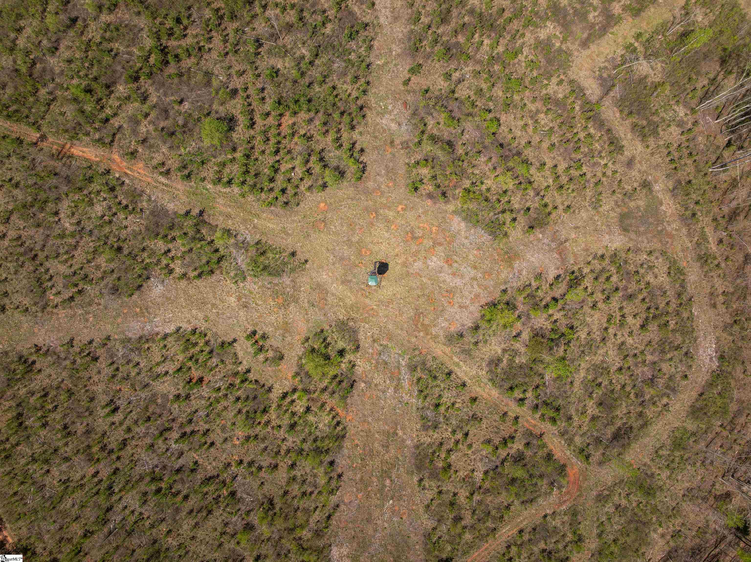 0 Mill Pine Road Central, SC 29630 - Photo 6 of 35