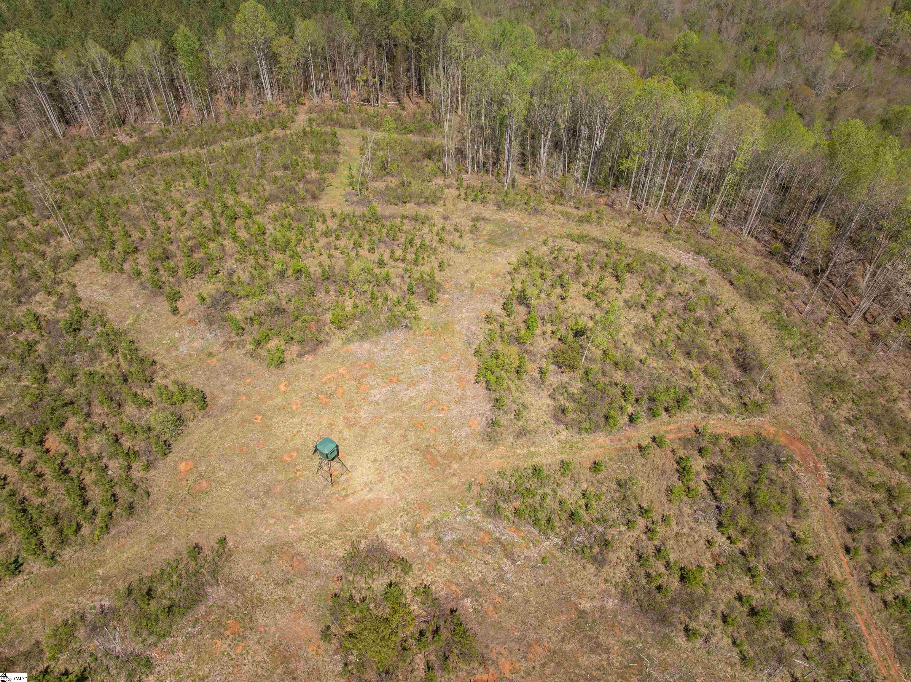 0 Mill Pine Road Central, SC 29630 - Photo 10 of 35