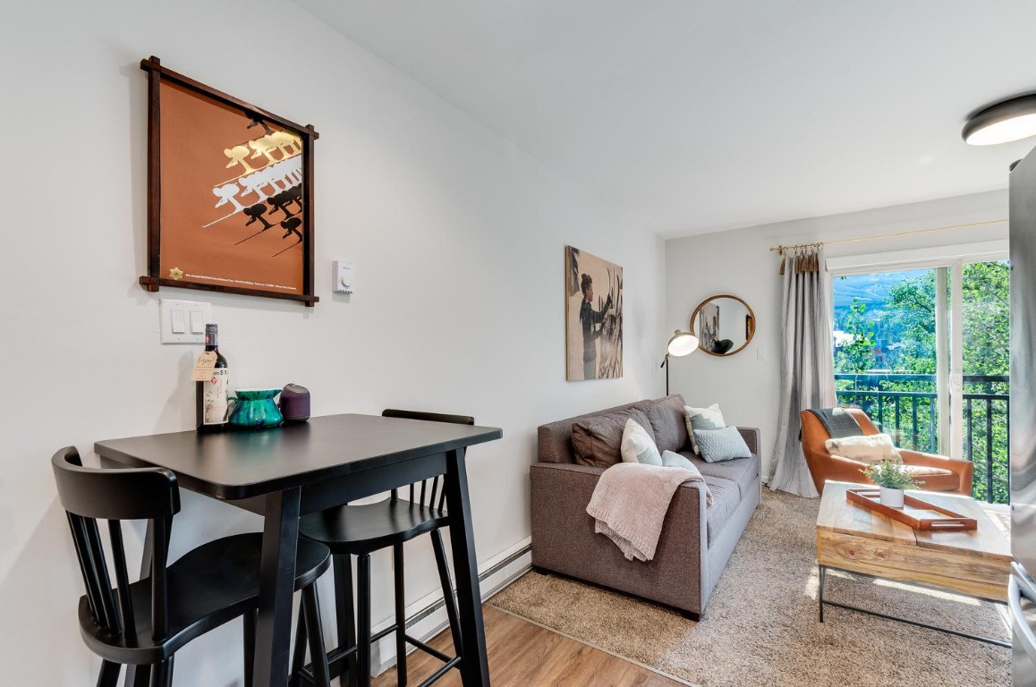 401 South Ridge Street, Unit 21 Breckenridge, CO 80424 - Photo 4 of 12 a view of a livingroom with furniture and a potted plant
