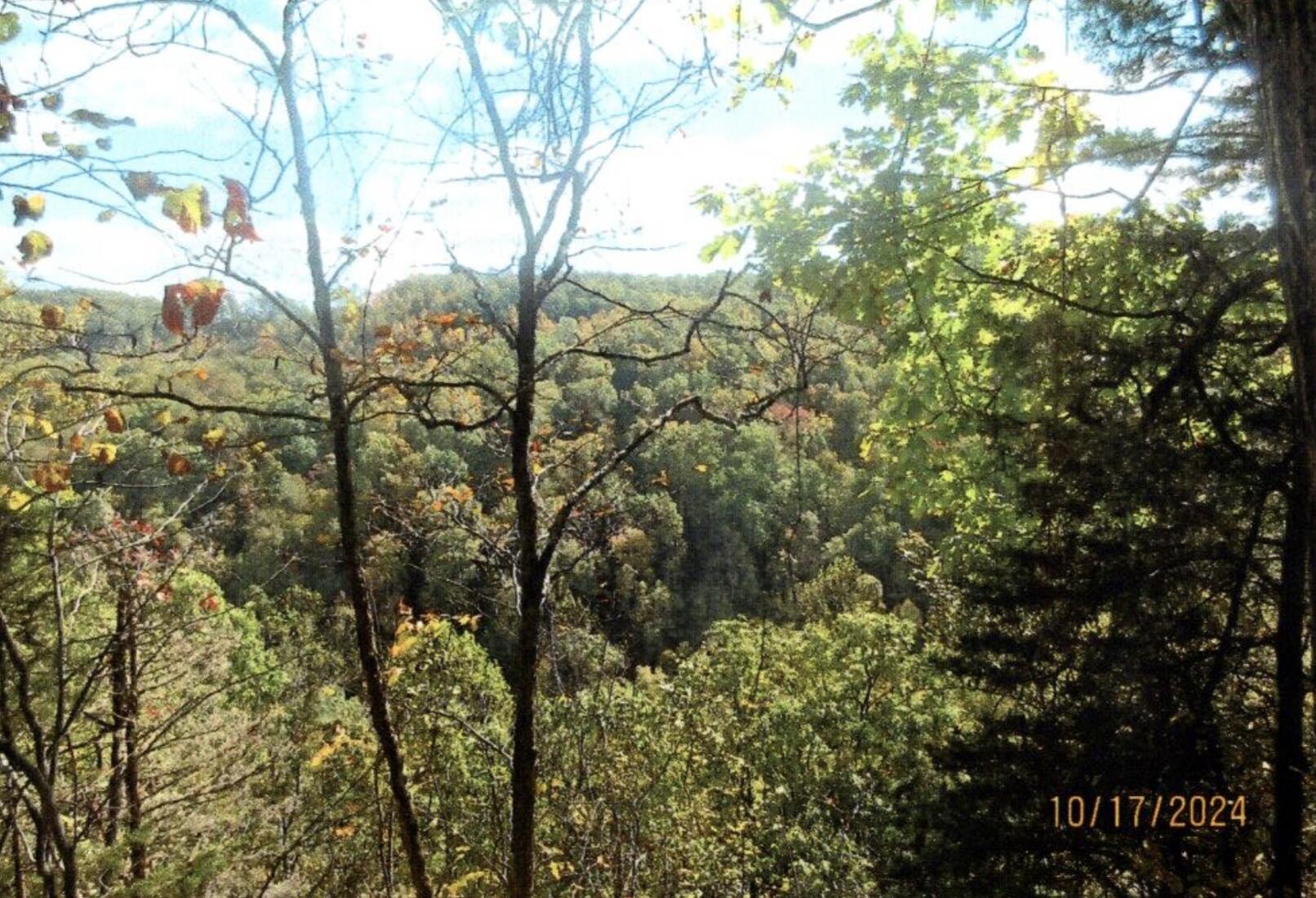 0 Halls Branch Road Stanton, KY 40380 - Photo 2 of 8 IMG_6697