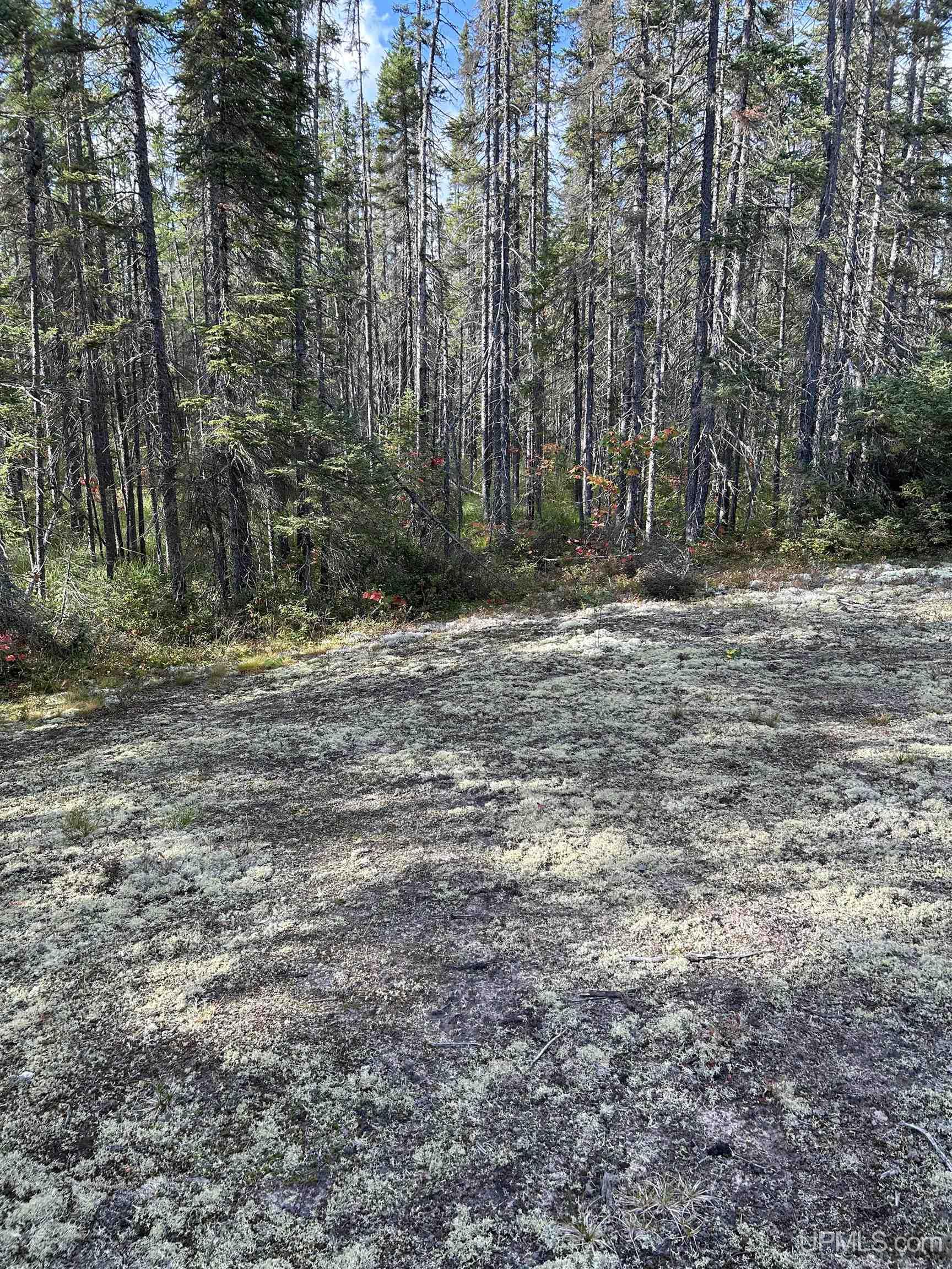 573 Rd Ishpeming Mi 49849 Road Ishpeming, MI 49849 - Photo 9 of 15