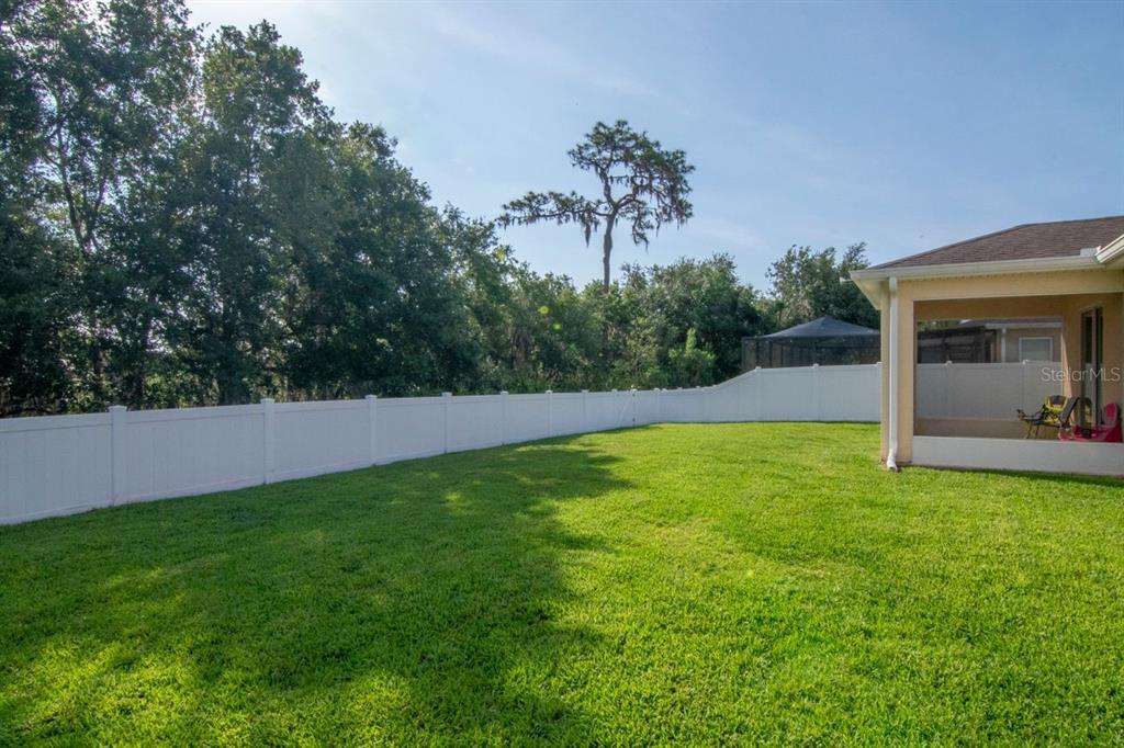 5446 Suncatcher Drive Wesley Chapel, FL 33545 - Photo 27 of 48