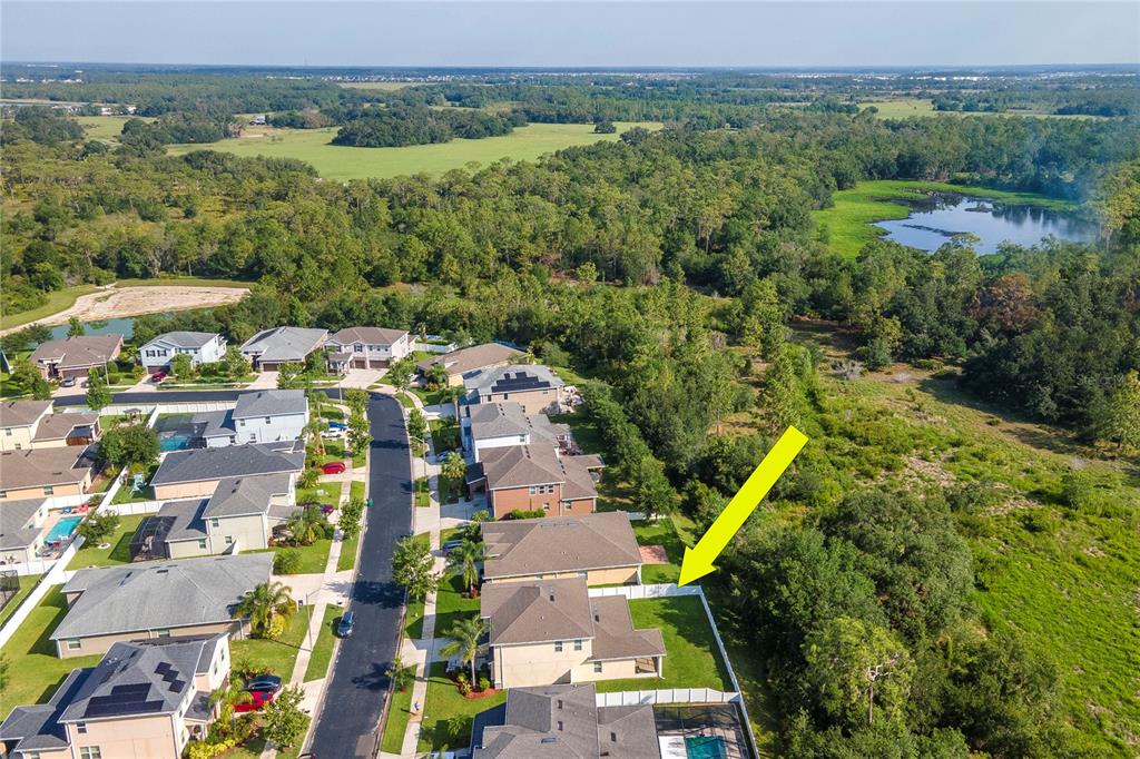 5446 Suncatcher Drive Wesley Chapel, FL 33545 - Photo 30 of 48