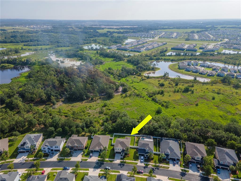 5446 Suncatcher Drive Wesley Chapel, FL 33545 - Photo 31 of 48