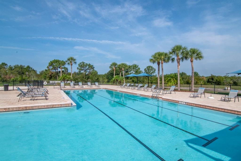 5446 Suncatcher Drive Wesley Chapel, FL 33545 - Photo 35 of 48