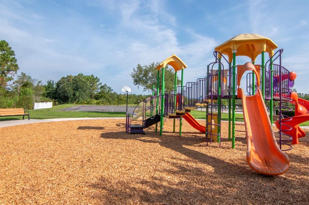 5446 Suncatcher Drive Wesley Chapel, FL 33545 - Photo 36 of 48