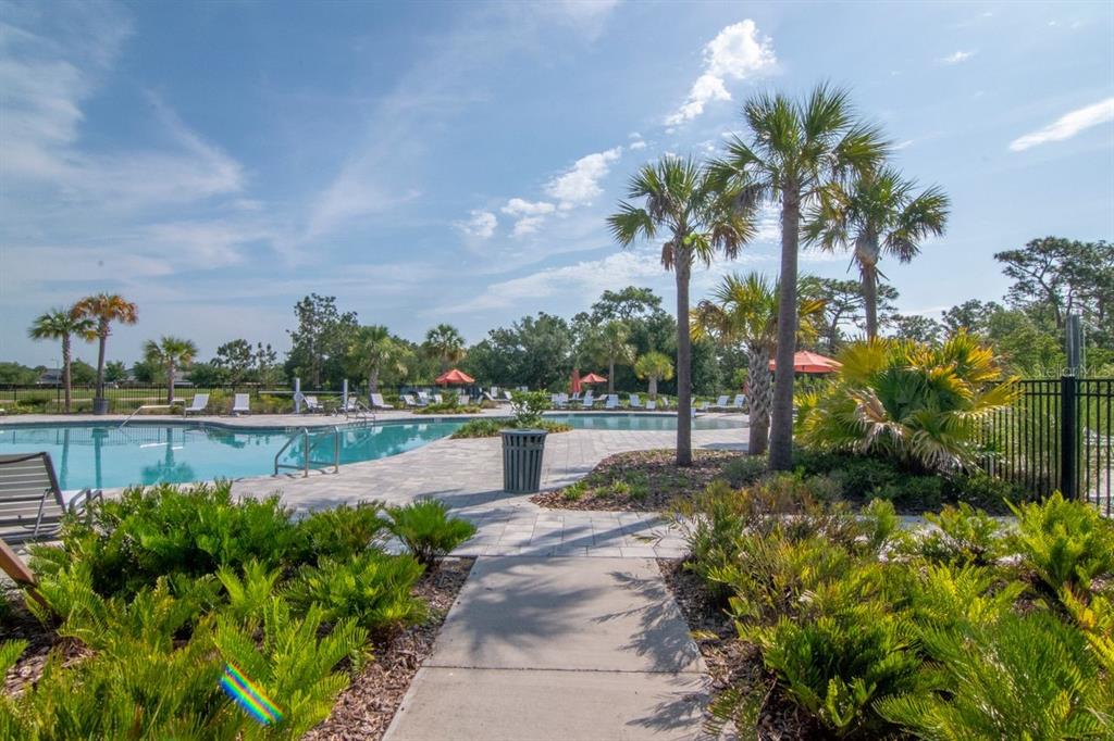 5446 Suncatcher Drive Wesley Chapel, FL 33545 - Photo 43 of 48