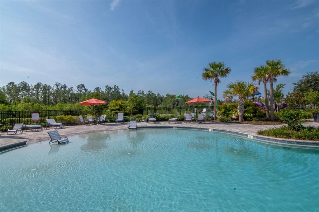 5446 Suncatcher Drive Wesley Chapel, FL 33545 - Photo 45 of 48