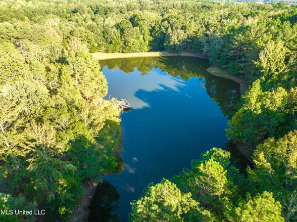 $999,995 | 12965 Whispering Pines Drive, Olive Branch, MS 38654