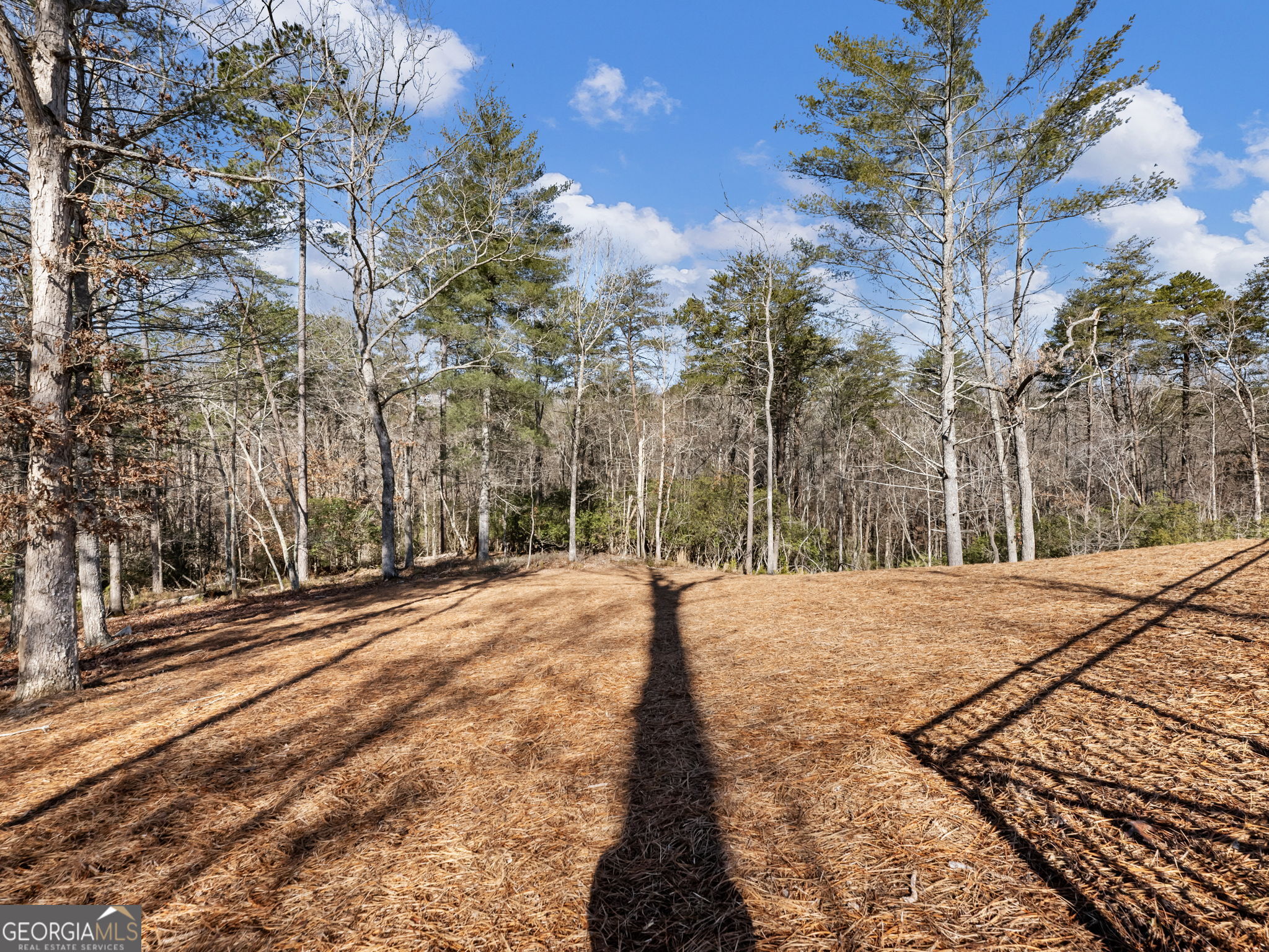 175 Lands End Trail Cleveland, GA 30528 - Photo 69 of 83