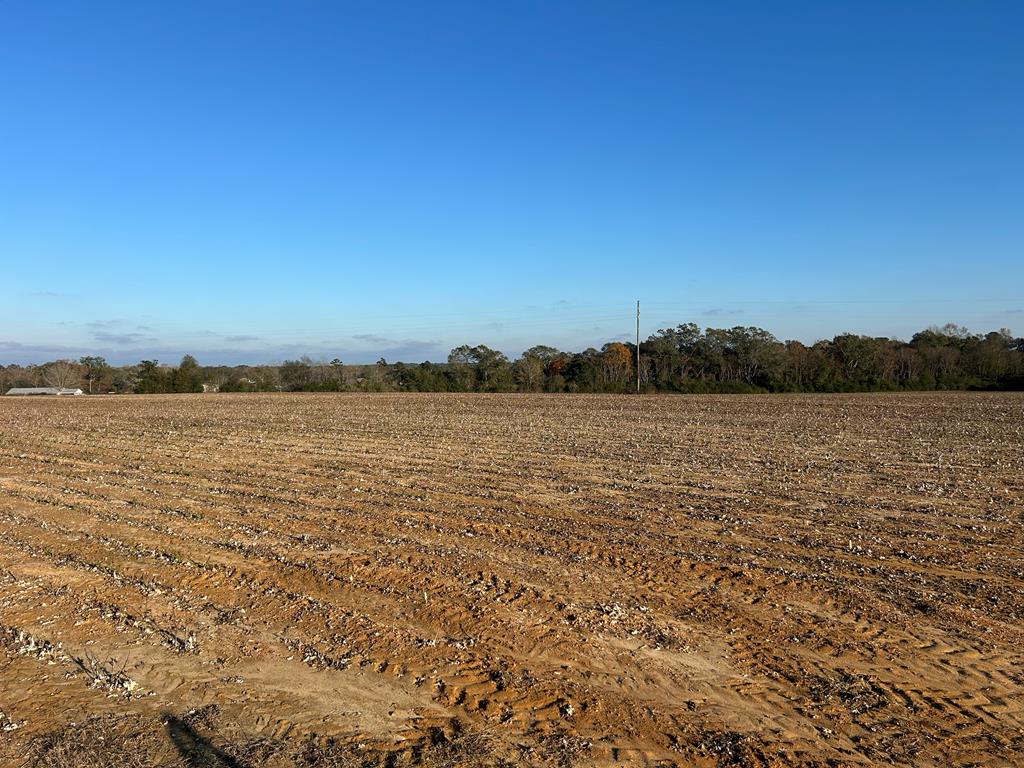 51.8-ac Hadden Road Dothan, AL 36301 - Photo 34 of 43