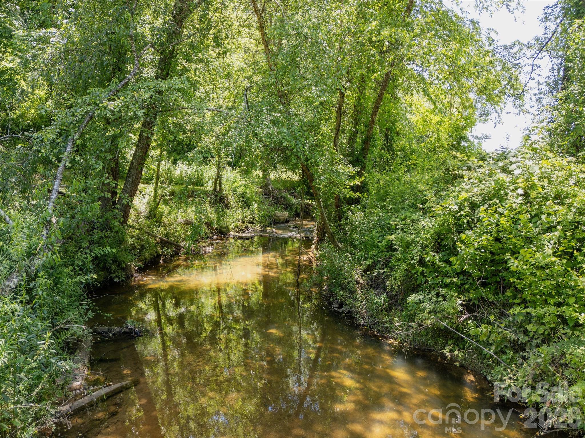 167 Tatham Road Hendersonville, NC 28792 - Photo 46 of 48