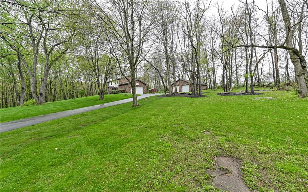 230 Election House Road Butler, PA 16001 - Photo 37 of 38 a view of a trees with a big yard