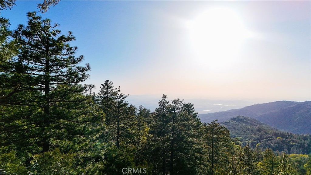 25121 Banning Idyllwild Idyllwild, CA 92549 - Photo 36 of 39
