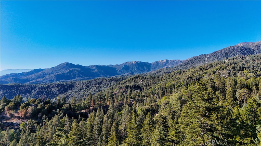 25121 Banning Idyllwild Idyllwild, CA 92549 - Photo 39 of 39