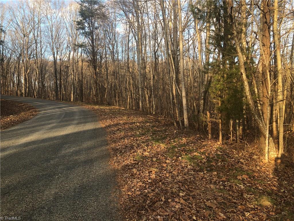 3-ac Augusta Hicks Road Walnut Cove, NC 27052 - Photo 1 of 18 Gallery Image 1