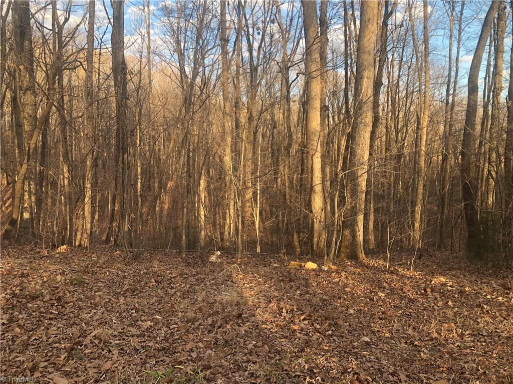 3-ac Augusta Hicks Road Walnut Cove, NC 27052 - Photo 2 of 18 Gallery Image 2