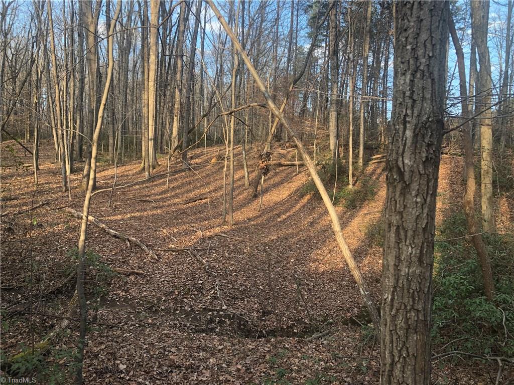 3-ac Augusta Hicks Road Walnut Cove, NC 27052 - Photo 17 of 18 Gallery Image 17