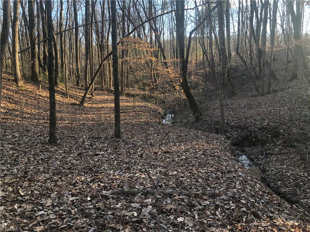 3-ac Augusta Hicks Road Walnut Cove, NC 27052 - Photo 5 of 18 Gallery Image 5