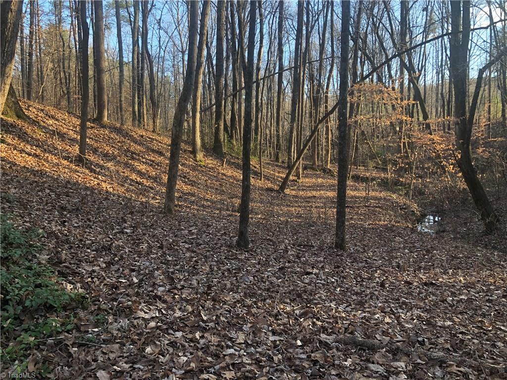 3-ac Augusta Hicks Road Walnut Cove, NC 27052 - Photo 6 of 18 Gallery Image 6