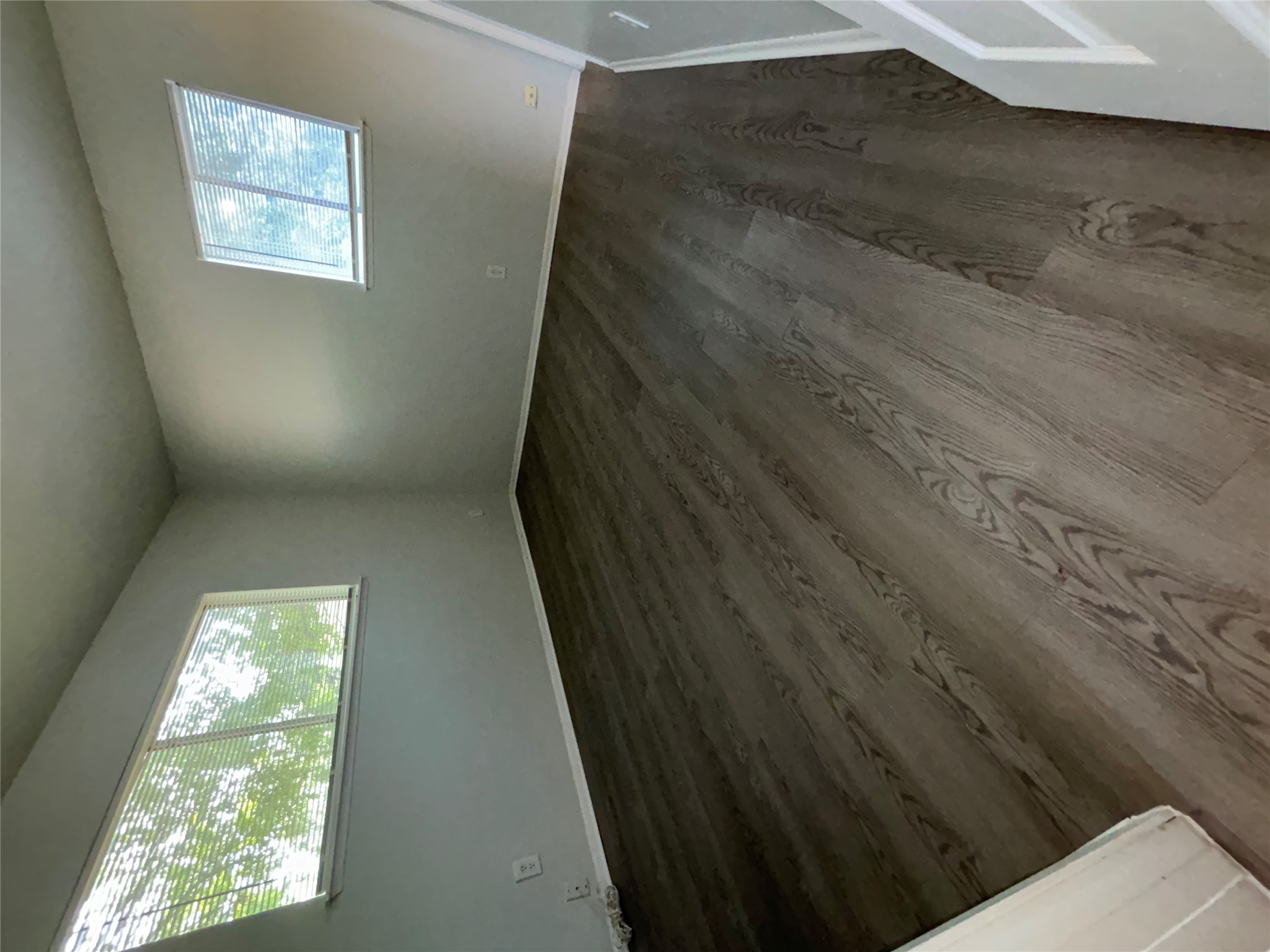 5905 Cherry Loop Austin, TX 78745 - Photo 11 of 13 Well-lit room featuring durable laminate flooring and multiple windows, ready for personalization.
