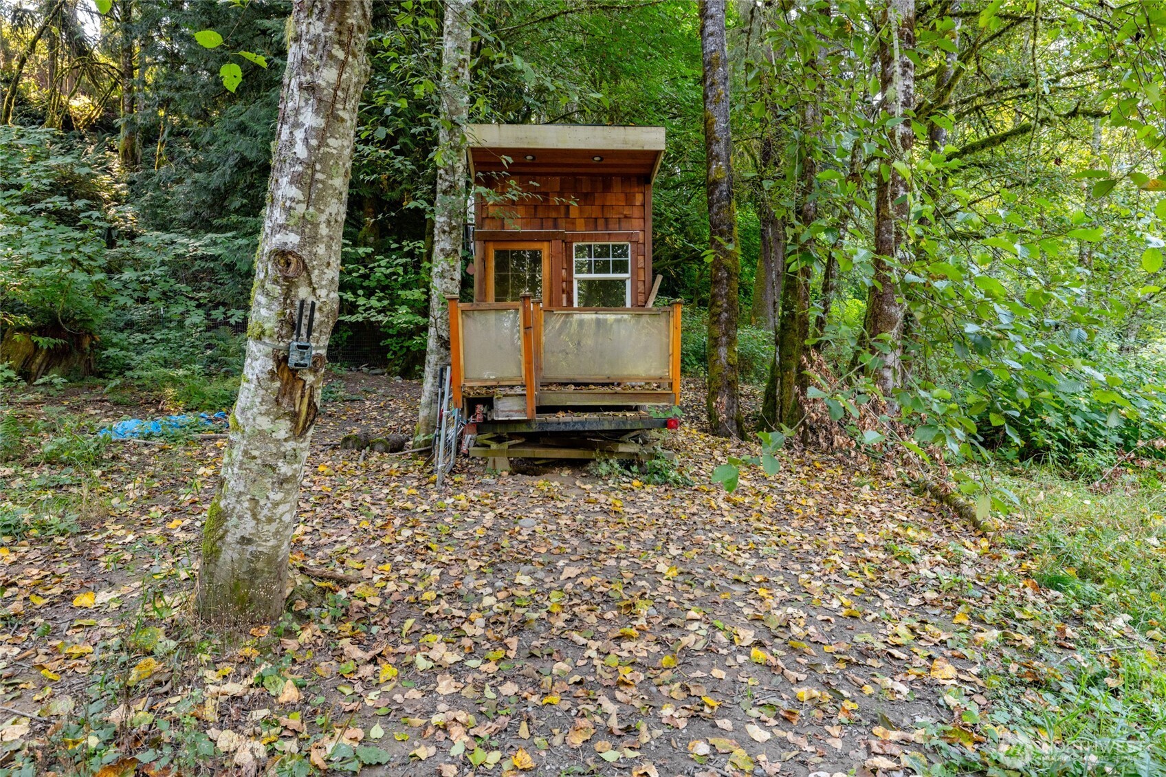 5295 Wickersham Road Acme, WA 98220 - Photo 11 of 12 a house with trees in front of it