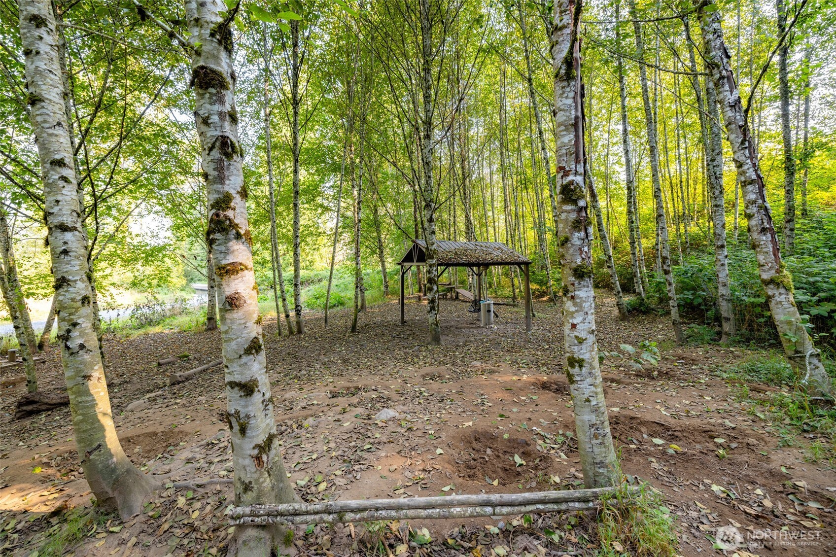 5295 Wickersham Road Acme, WA 98220 - Photo 12 of 12 a view of a yard with plants and large trees