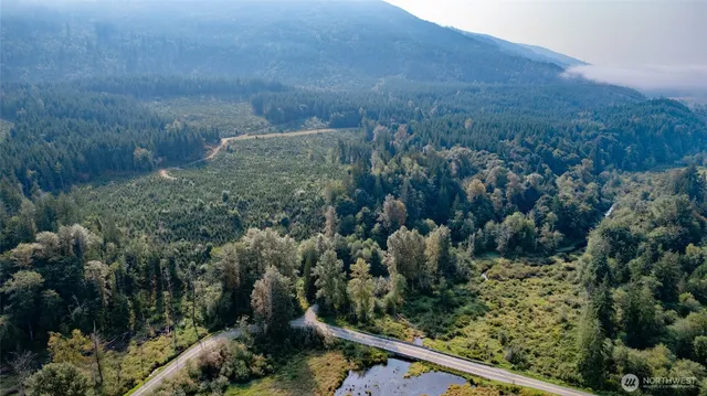 a view of a forest from a balcony