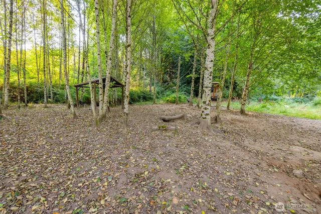 a view of a backyard