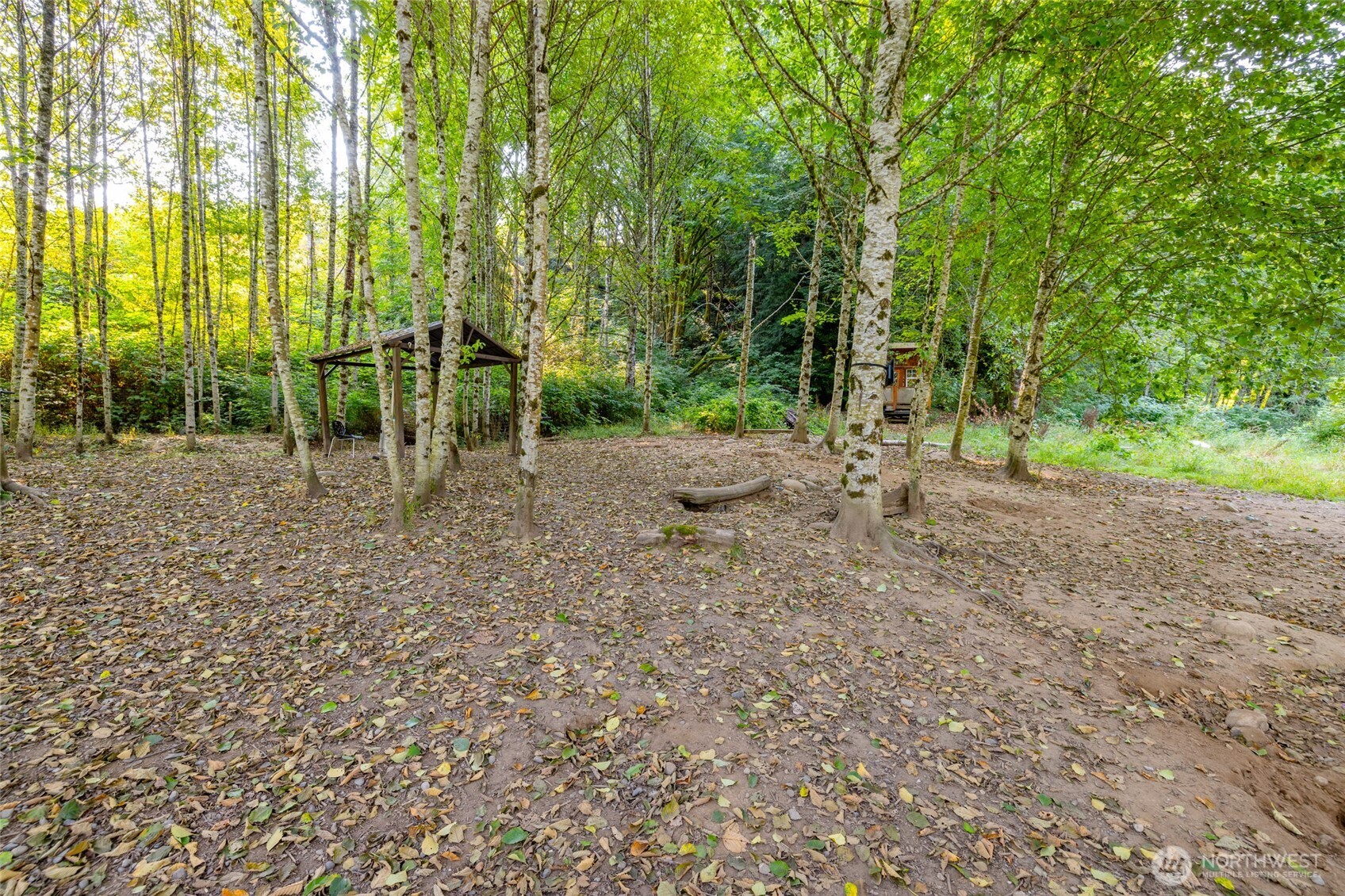 5295 Wickersham Road Acme, WA 98220 - Photo 8 of 12 a view of a backyard