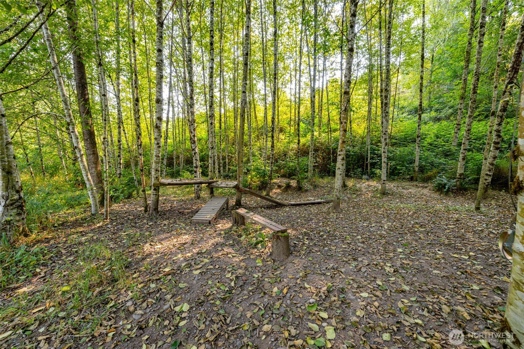 5295 Wickersham Road Acme, WA 98220 - Photo 9 of 12 a view of outdoor space with lots of green space and trees