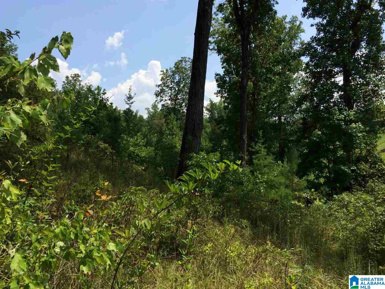 Spunky Hollow Road, Unit 18 7 Oneonta, AL 35121 - Photo 18 of 46