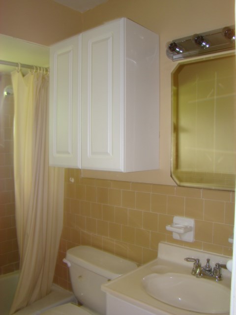 3245 Doyle Avenue Columbus, GA 31907 - Photo 12 of 21 a bathroom with a sink and a shower