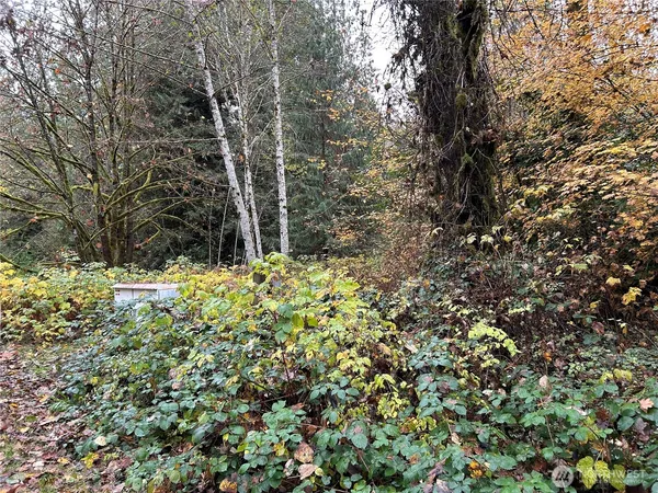 a view of house with a tree