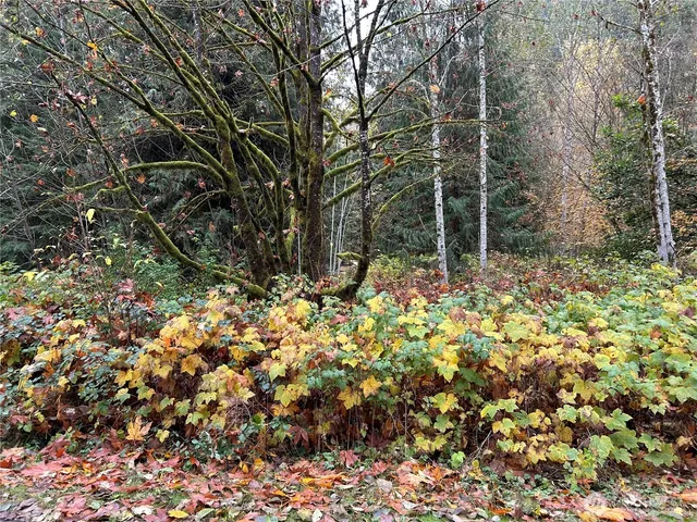 $63,500 | 54165 Steelhead Landing Road, Concrete, WA 98237