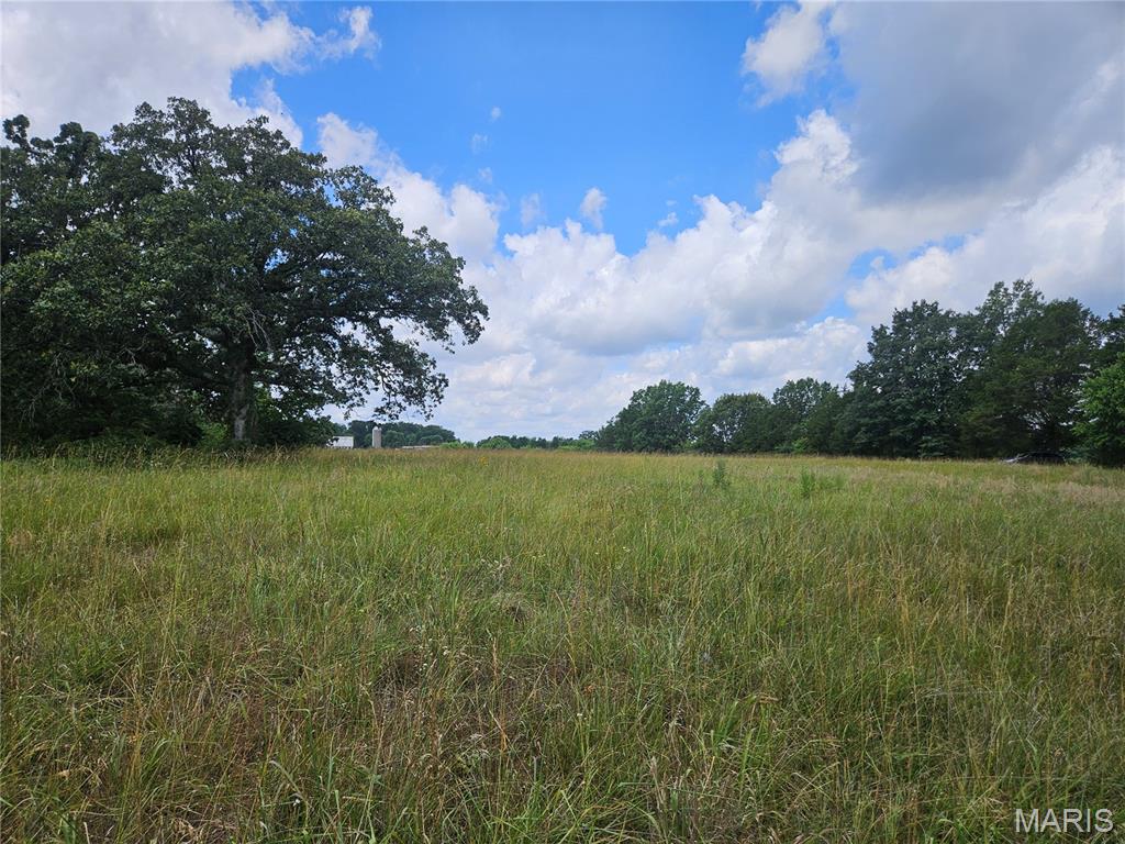 0 Misty Road Pinckneyville, IL 62274 - Photo 3 of 25