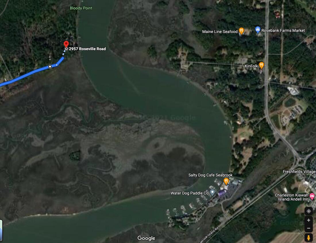 2957 Roseville Road Wadmalaw Island, SC 29487 - Photo 41 of 42 2957 Roseville Rd Satellite View