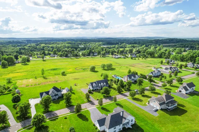 a view of a bunch of trees houses and lake
