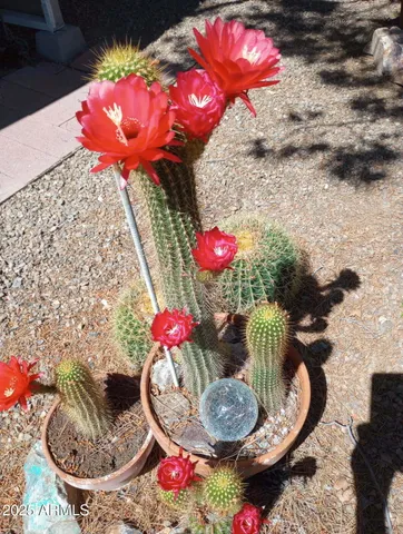 $525,000 | 4529 East Bermuda Street, Tucson, AZ 85712