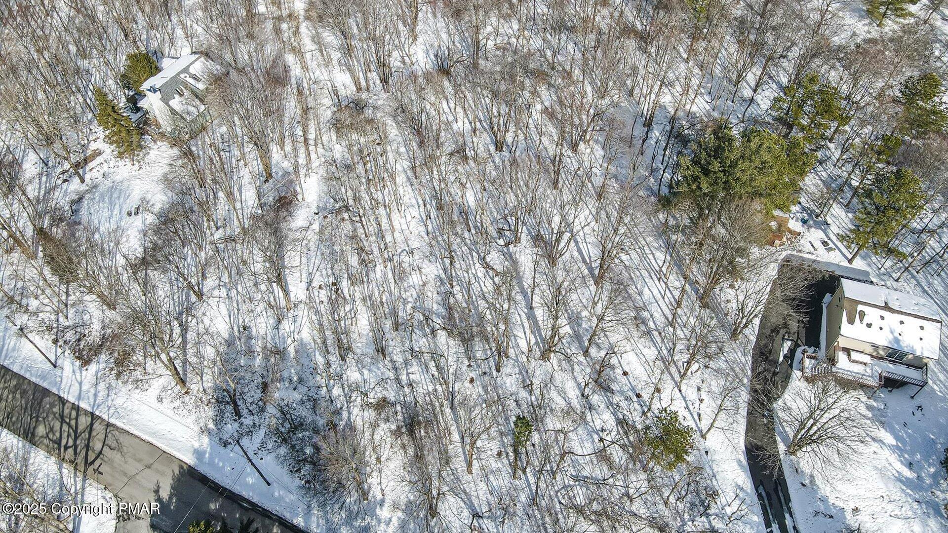 277 Fern Ridge Road Blakeslee, PA 18610 - Photo 39 of 46 a picture of tree