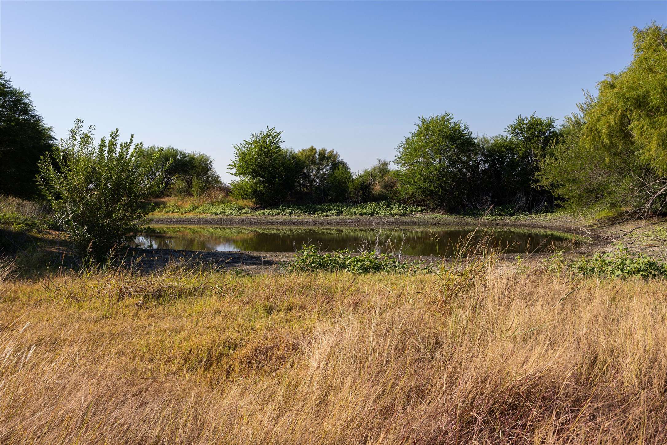 6868 Pfeil Road Schertz, TX 78154 - Photo 15 of 16 Pond From Open Side