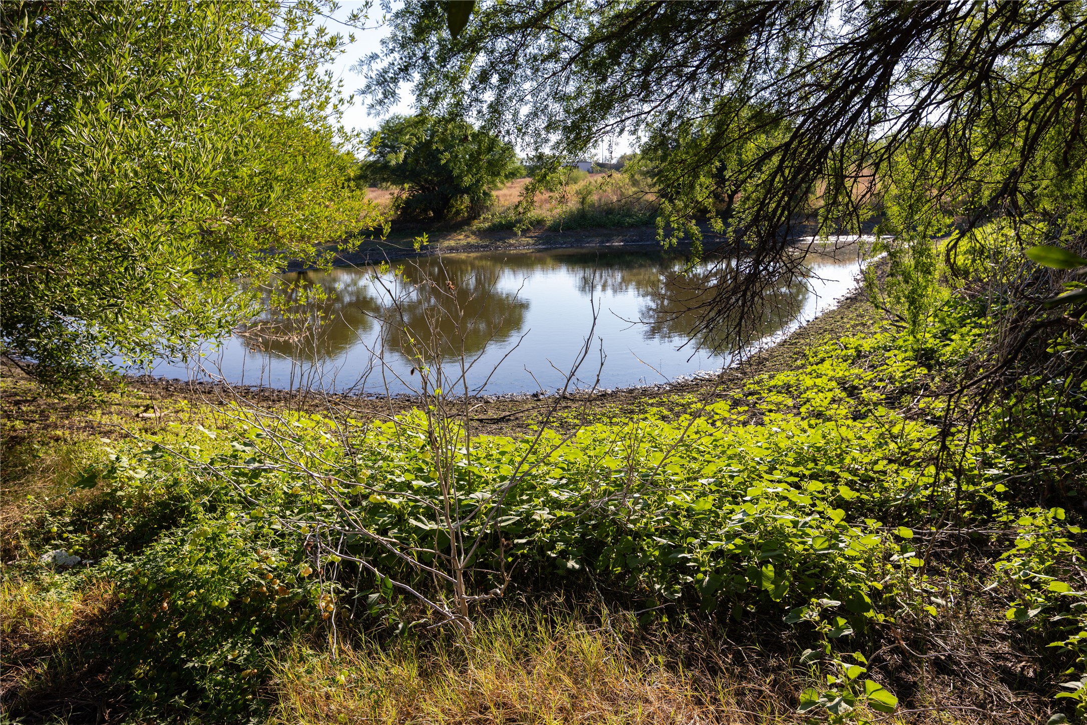 6868 Pfeil Road Schertz, TX 78154 - Photo 2 of 16 Pond Still Has Water Even In This Drought